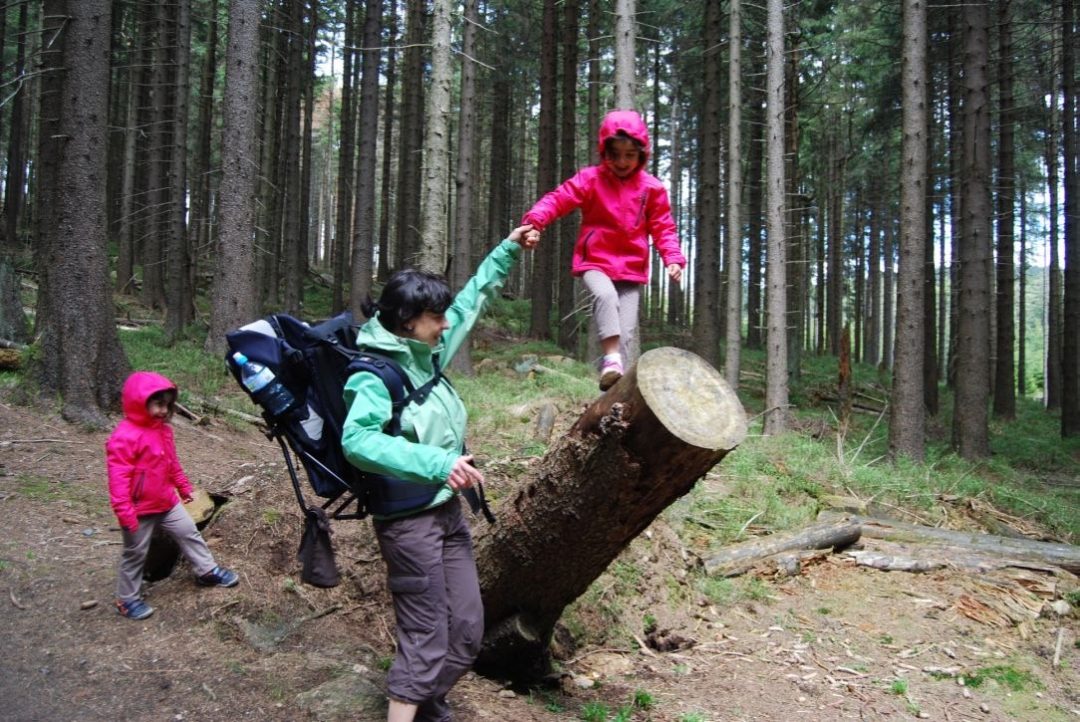 Estre and her kids in Harz National Park