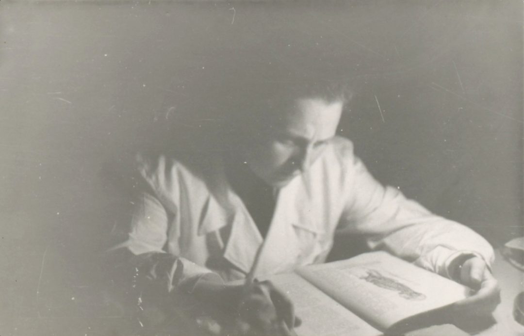 Portrait of Krystyna Modrzewska reading a book